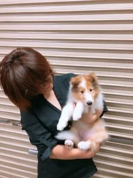 ミヤ 様のお迎えした子犬