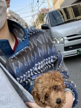 T.A 様のお迎えした子犬