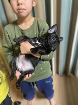 azrinka 様のお迎えした子犬