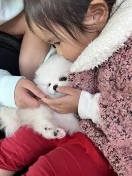 M.O 様のお迎えした子犬