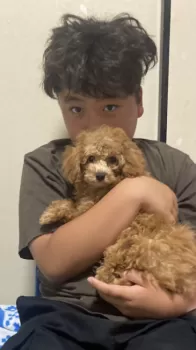 R.A 様のお迎えした子犬