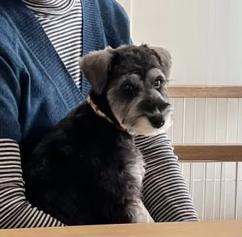 C.K 様のお迎えした子犬