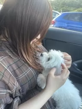 なお 様のお迎えした子犬