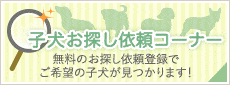 子犬お探しコーナー