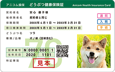 どうぶつ健康保険証
