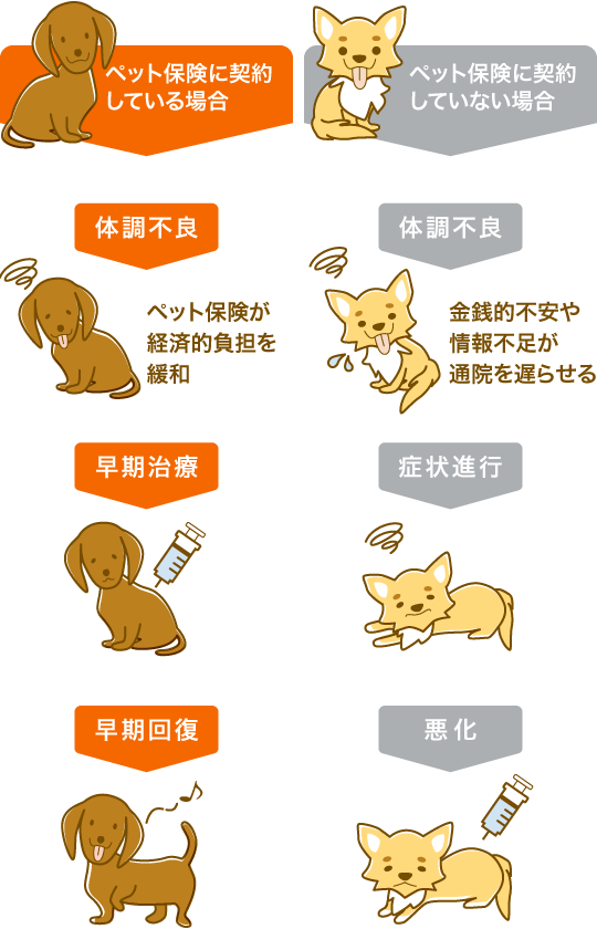 ペット保険に契約している場合としていない場合の違い